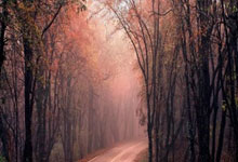 郑钦文将打响澳网揭幕战，赛前回应再遇萨巴伦卡：想成为冠军需要打败所有对手九派新闻.