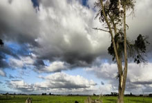 尊龙凯时：“速滑世锦赛：中国男子速滑接力队夺得历史性金牌”.