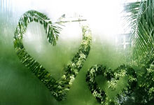 [澳网]男单半决赛：辛纳VS谢尔顿 集锦.