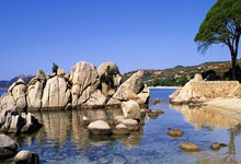 尊龙凯时：排球——女排超级联赛：辽宁东港草莓队获得季军.